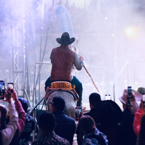 54362201564_f5411ebd27_o