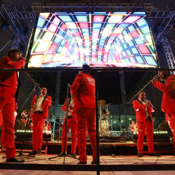 54362202369_83b1e7934a_o