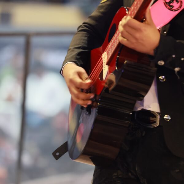 54362399950_415fdd0cef_o