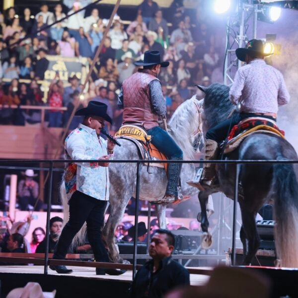 54362400040_1c1a40f492_o